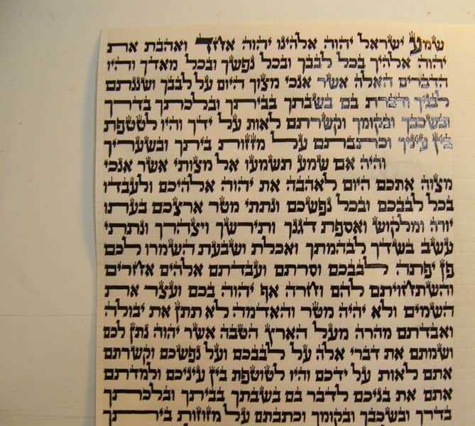 אייל גולן - סופר סתם מוסמך